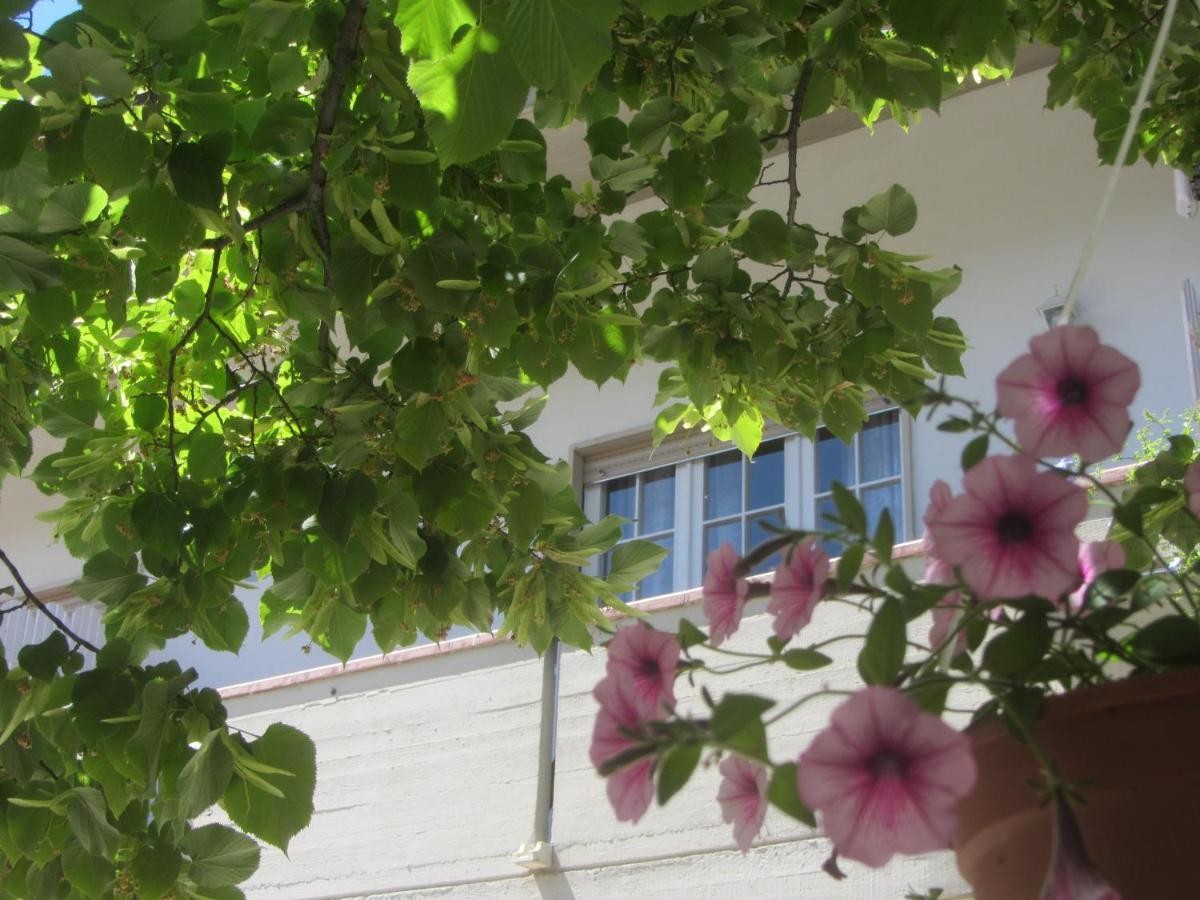 B&B Il Country E Il Mare Martinsicuro Kültér fotó